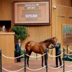Potro, 2611, Nyquist en Raise The Flag por Awesome Again, sesión 8, Keeneland Sales, martes, 17 de septiembre de 2024, Keeneland. Foto: Keeneland