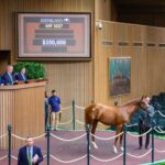 Potro, 3027, Nyquist en Raise The Flag por Awesome Again, sesión 9, Keeneland Sales, miércoles, 18 de septiembre de 2024, Keeneland. Foto: Keeneland