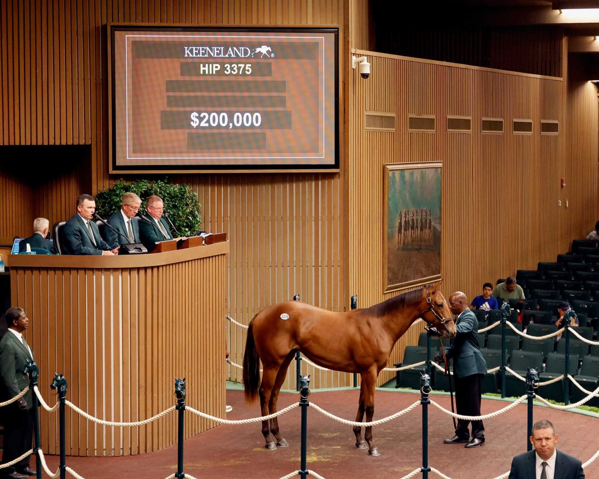 Potro, 3375, Beau Liam en Moonlight Kiss por Malibu Moon, sesión 10, Keeneland Sales, jueves, 19 de septiembre de 2024, Keeneland. Foto: Keeneland