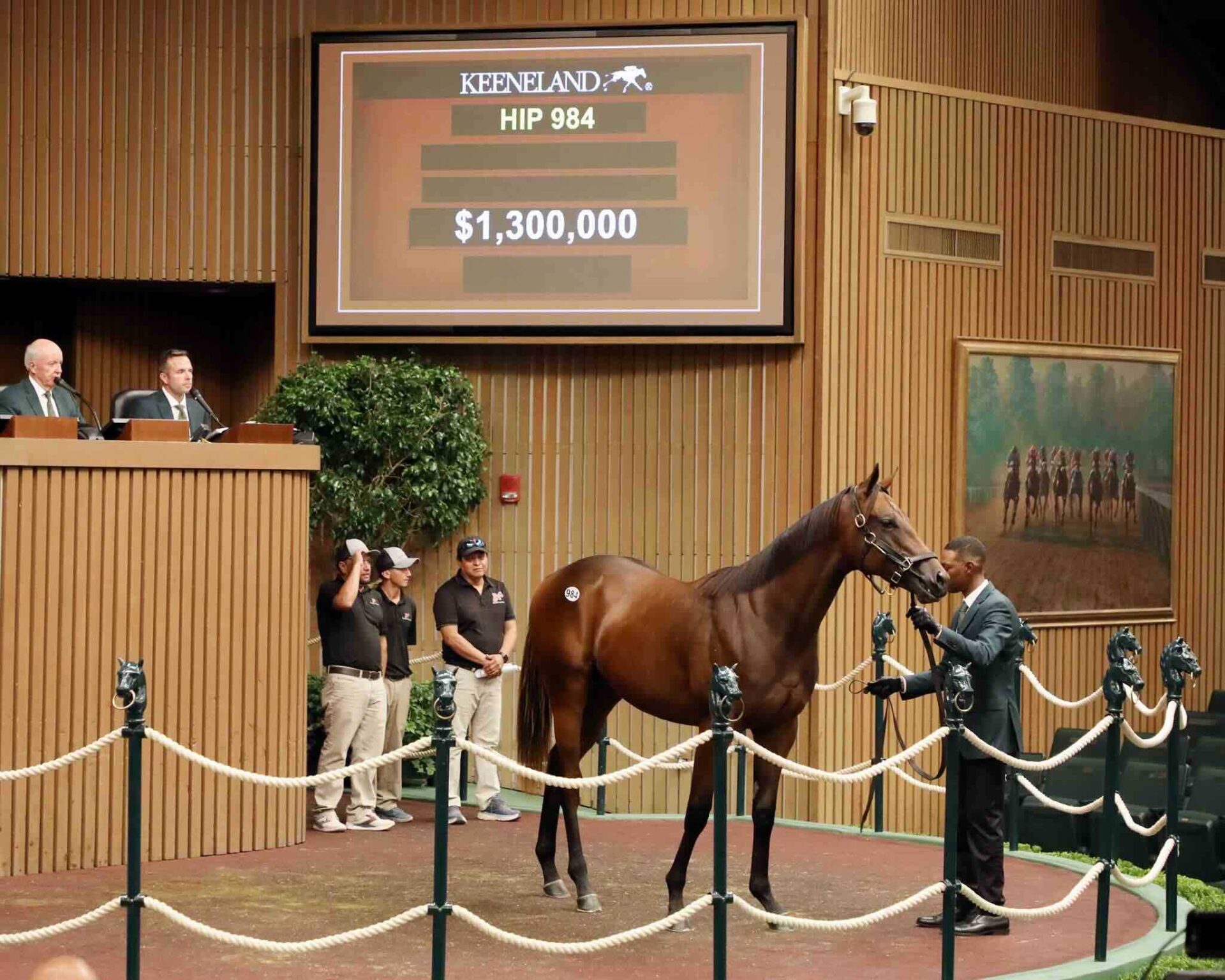 Potro, 984, Nyquist en Spa Treatment por Bernardini, sesión 4, Keeneland Sales, jueves, 12 de septiembre de 2024, Keeneland. Foto: Keeneland