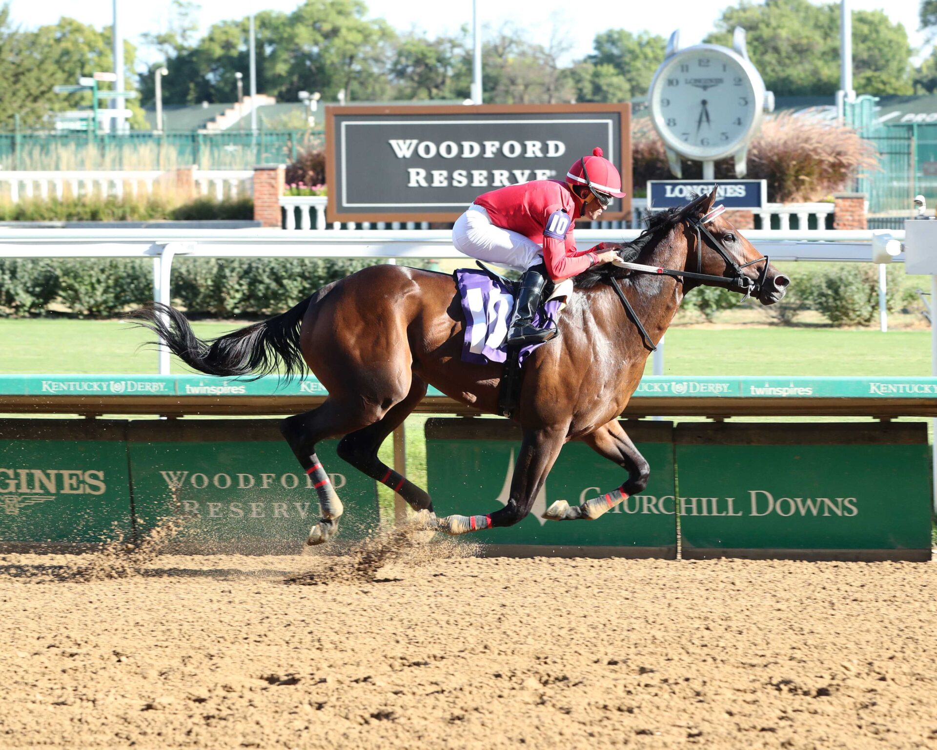 Jonathan´s Way, horse, Vekoma, Iroquois Stakes, sábado, 14 de septiembre de 2024, Churchill Downs. Foto: Coady Media