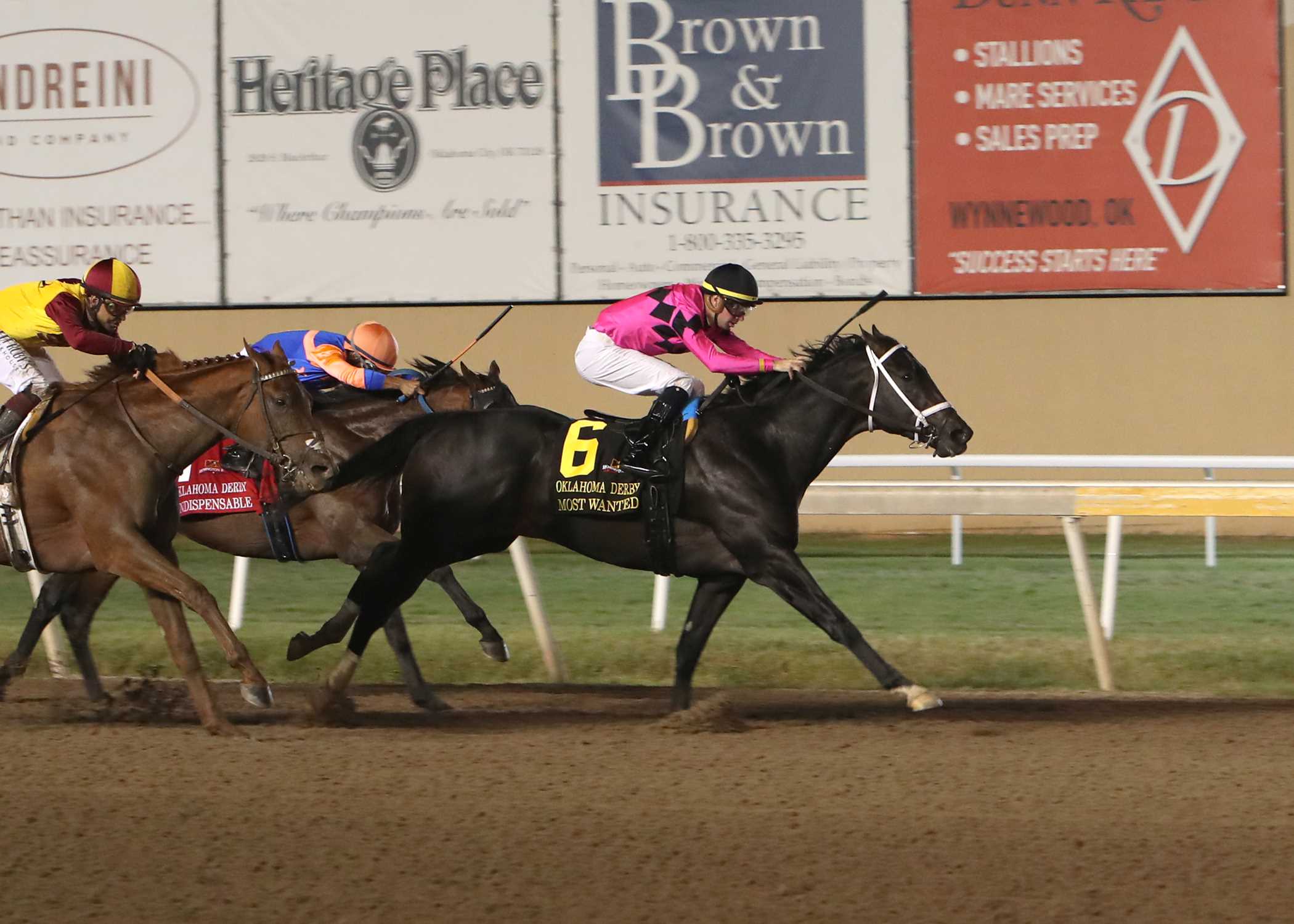 Most Wanted, horse, Candy Ride, Oklahoma Derby, domingo, 29 de septiembre de 2024, Remington Park. Foto: Dustin Orona