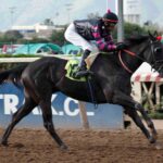Nocciola, horse, Exaggerator, Clásico Ernaní Parodi Madariaga, sábado, 21 de septiembre de 2024, Hipódromo Chile. Foto: Jaime Cortés