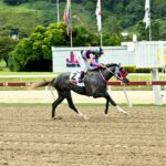 Winter Wonderland, horse, Haras Urama, Clásico Julián Abdala, domingo, 25 de agosto de 2024, La Rinconada. Foto: José Antonio Aray
