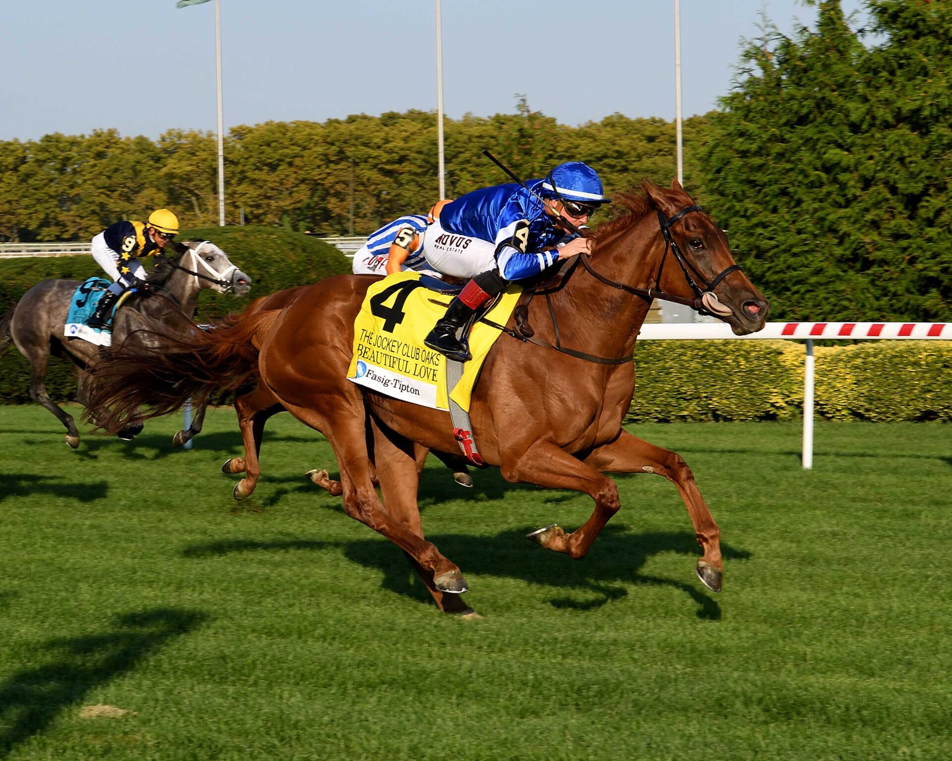Beautiful Love, horse, Godolphin, Jockey Club Oaks Invitational, sábado, 14 de septiembre de 2024, Belmont At The Big A. Foto: Coglaniese Photo & Susie Raisher