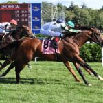Big Invasion, horse, Declaration Of War, Harvey Pack Stakes, lunes, 2 de septiembre de 2024, Saratoga. Foto: Coglaniese Photo & Susie Raisher