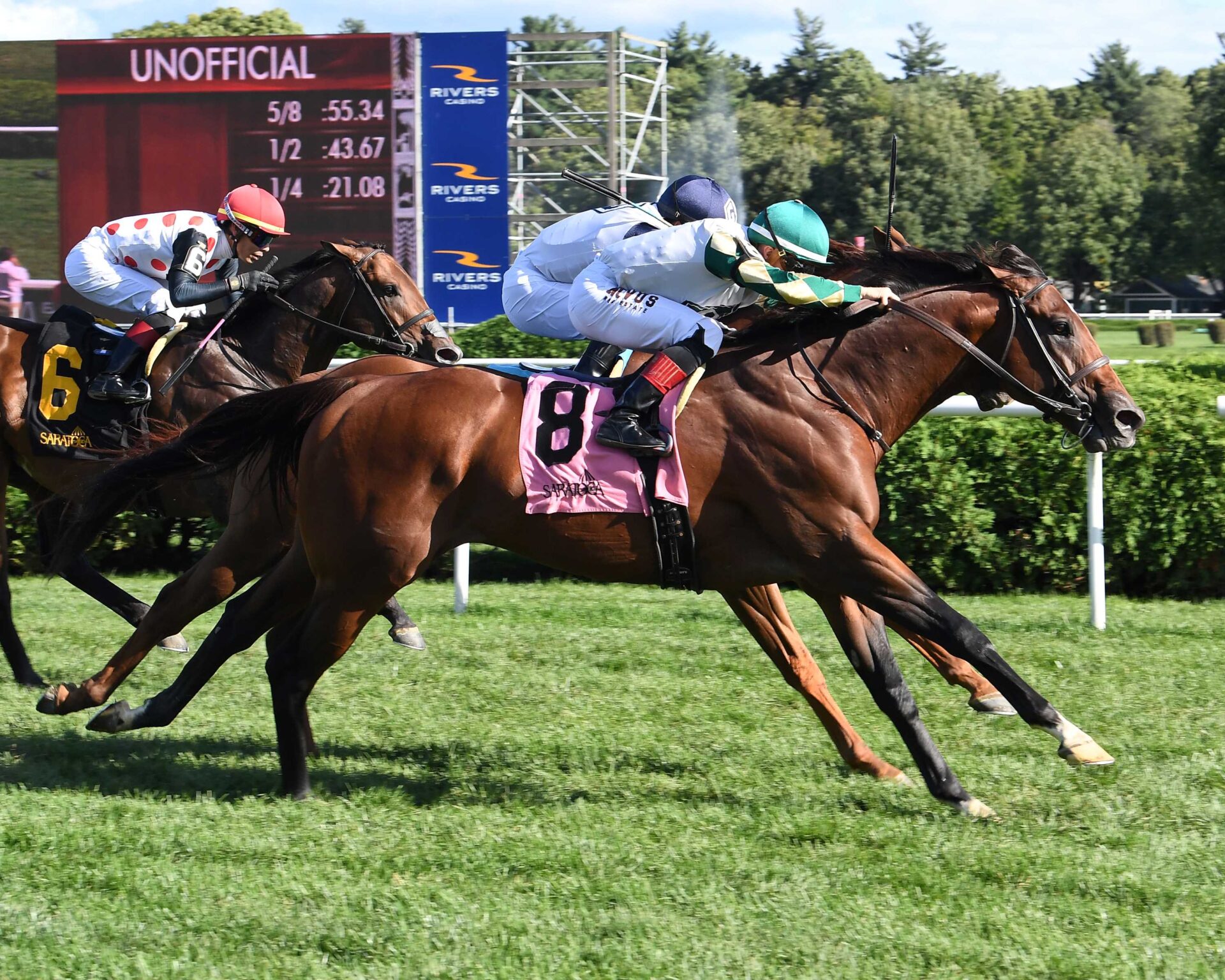 Big Invasion, horse, Declaration Of War, Harvey Pack Stakes, lunes, 2 de septiembre de 2024, Saratoga. Foto: Coglaniese Photo & Susie Raisher