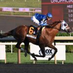 Highland Falls, Horses, Curlin, Jockey Club Gold Cup Stakes, domingo, 1 de septiembre de 2024, Saratoga. Foto: Coglaniese Photo & Susie Raisher