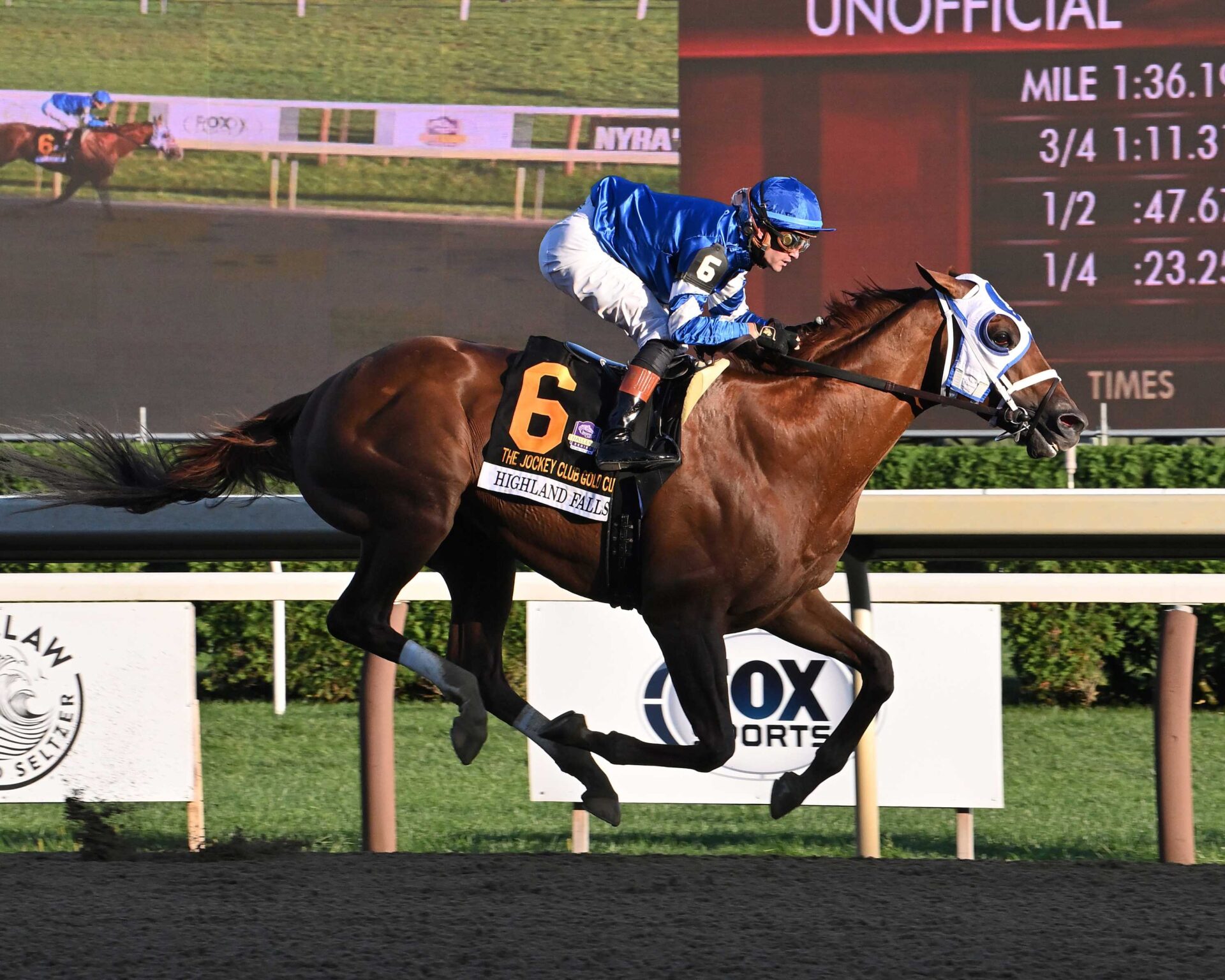 Highland Falls, Horses, Curlin, Jockey Club Gold Cup Stakes, domingo, 1 de septiembre de 2024, Saratoga. Foto: Coglaniese Photo & Susie Raisher