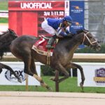 Immersive, horse, Nyquist, Spinaway Stakes, sábado, 31 de agosto de 2024, Saratoga. Foto: Coglaniese Photo & Susie Raisher