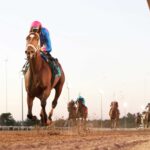 Alpine, horse, Classic Empire, Remington Park Oaks, domingo, 24 de septiembre de 2023, Remington Park. Foto: Dustin Orona