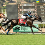 Cabo Spirit, Horses, Pioneerof The Nile, John Henry Turf Championship Stakes, sábado, 28 de septiembre de 2024, Santa Anita Park. Foto: Benoit Photo