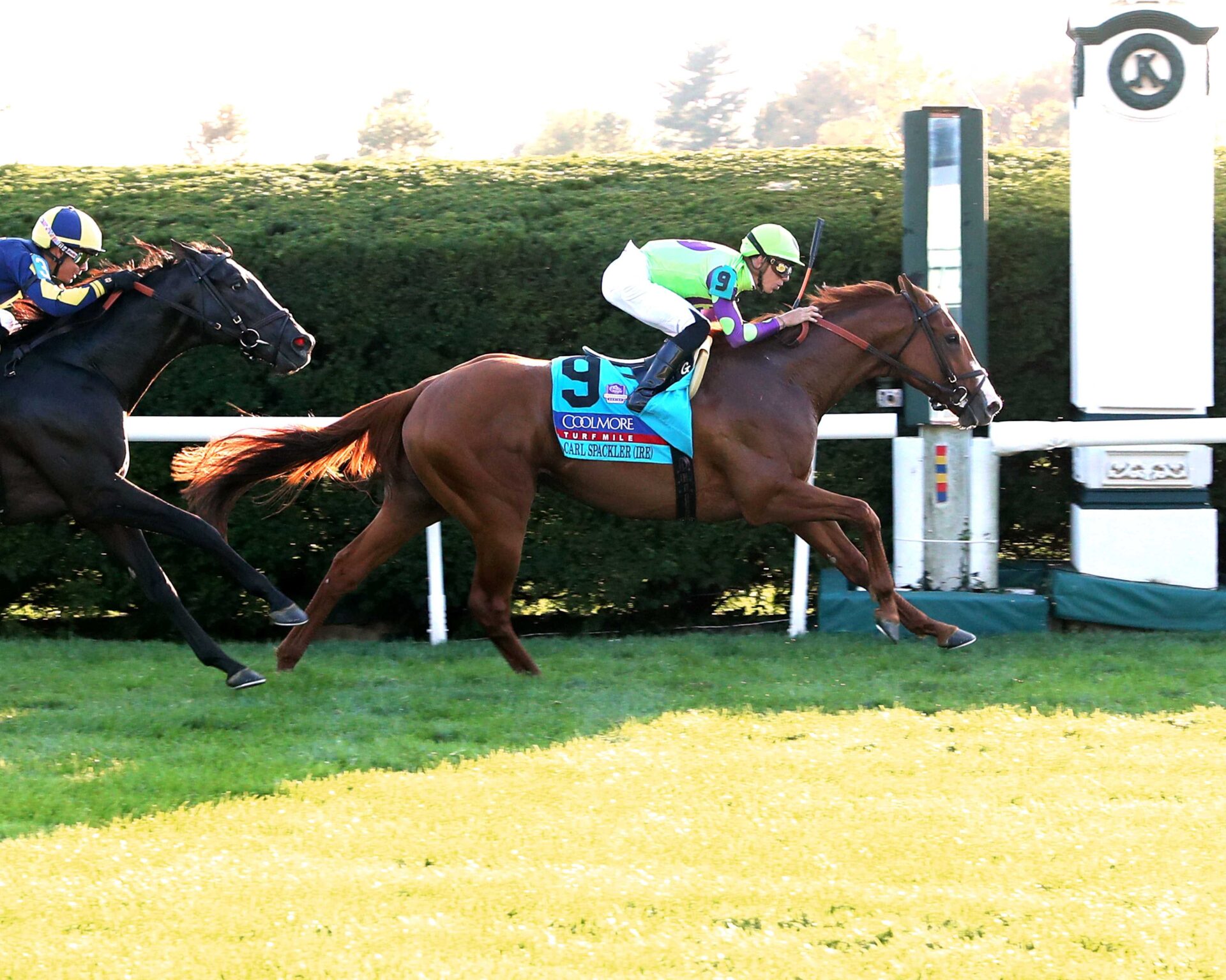 Carl Spackler, horse, Lope De Vega (IRE), Coolmore Mile Stakes, sábado, 5 de octubre de 2024, Keeneland. Foto: Coady Media
