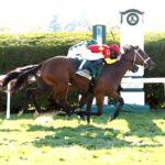 Chop Chop, horse, City Of Light, Rood and Riddle Dowager Stakes, domingo, 20 de octubre de 2024, Keeneland. Foto: Coady Media