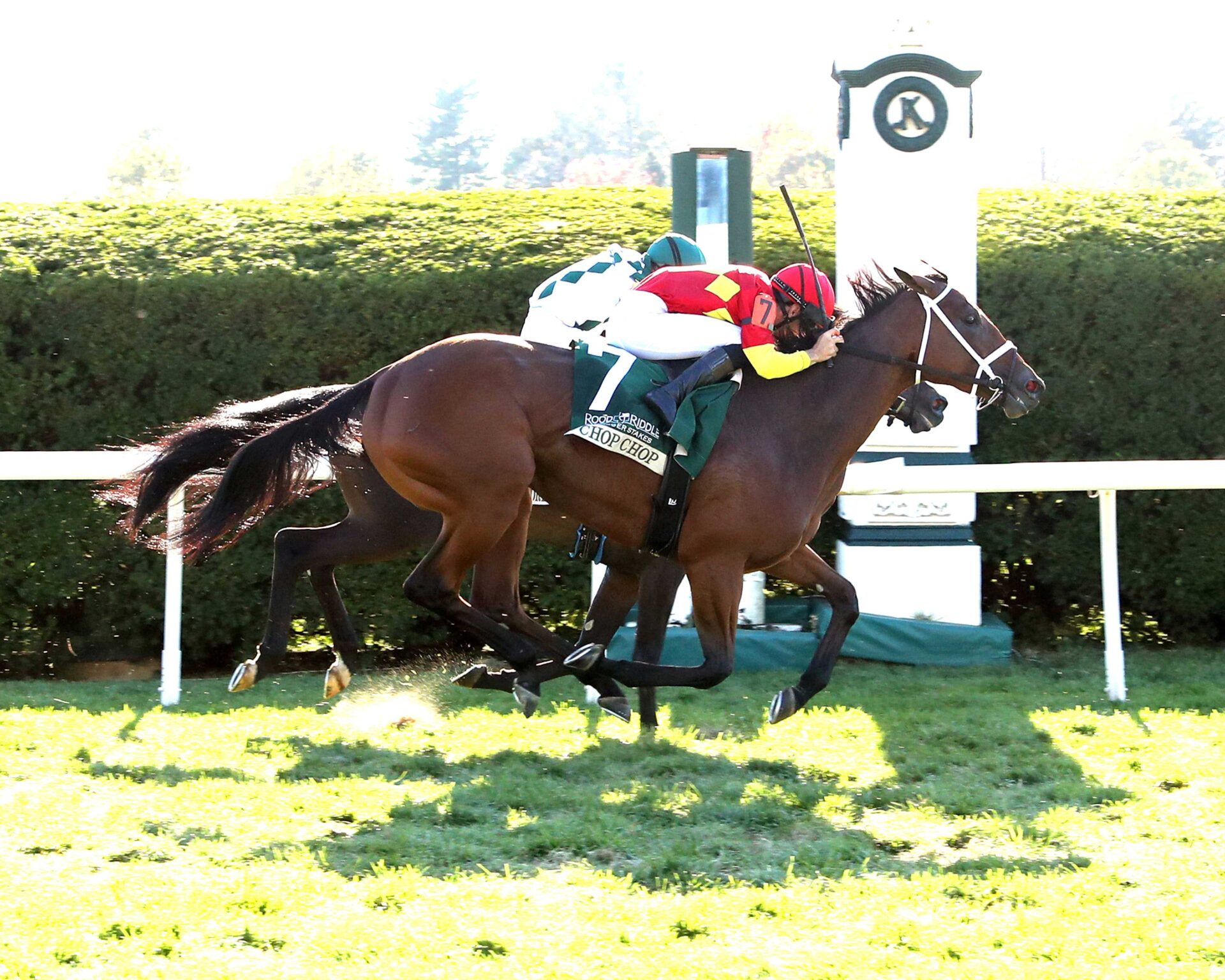 Chop Chop, horse, City Of Light, Rood and Riddle Dowager Stakes, domingo, 20 de octubre de 2024, Keeneland. Foto: Coady Media