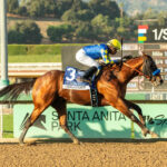 Citizen Bull, horse, Into Mischief, American Pharoah Stakes, sábado, 5 de octubre de 2024, Santa Anita Park. Foto: Benoit Photo