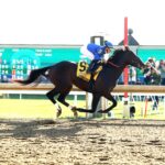 East Avenue, horses, Godolphin, Breeders Futurity, sábado, 5 de octubre de 2024, Keeneland. Foto: Coady Media