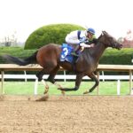 Echo Sound, horse, Echo Town, Myrtlewood Stakes, viernes, 25 de octubre de 2024, Keeneland. Foto: Coady Media