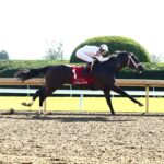Federal Judge, horse, Army Mule, Stoll Keennon Ogden Phoenix Stakes, viernes, 4 de octubre de 2024, Keeneland. Foto: Coady Media