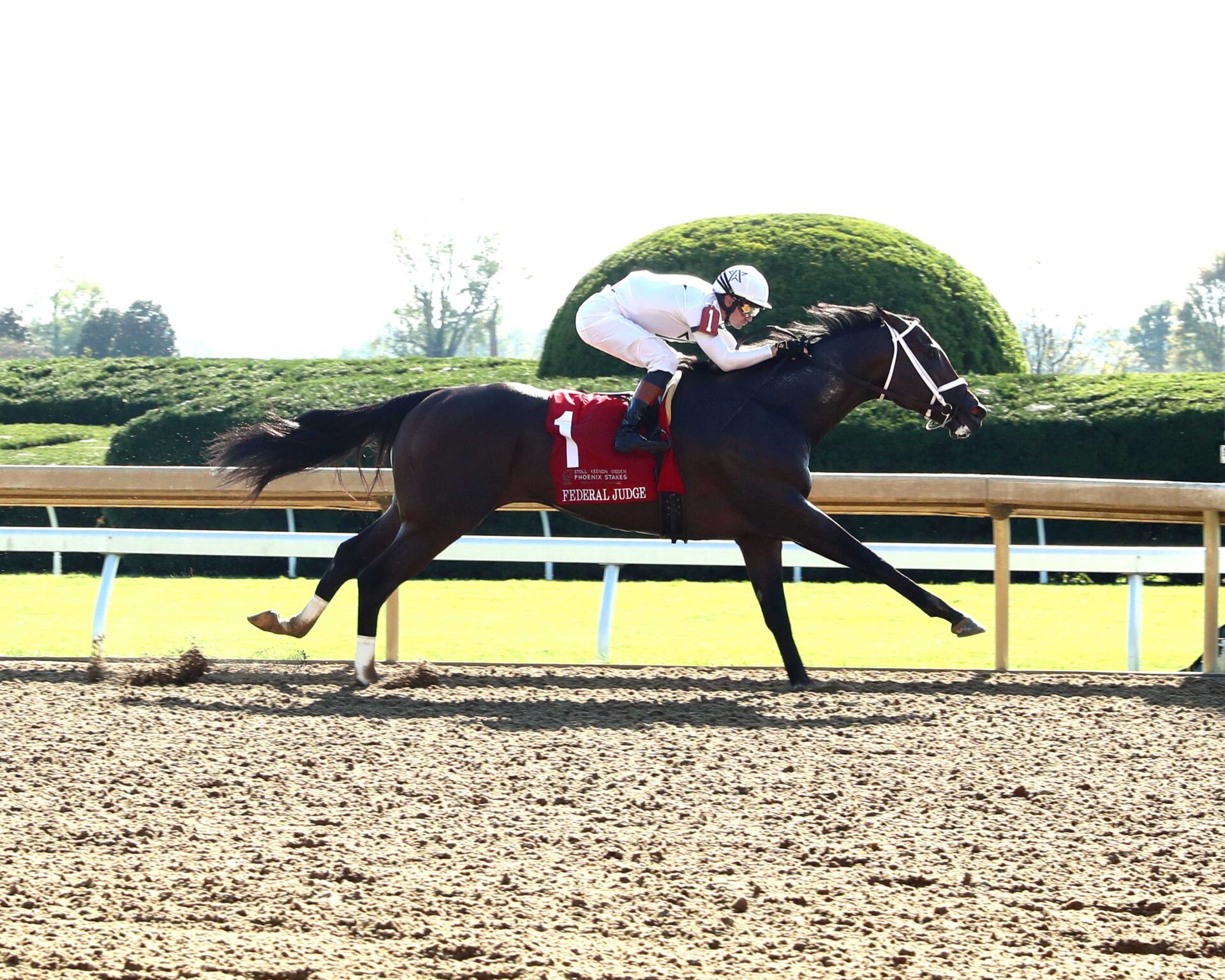 Federal Judge, horse, Army Mule, Stoll Keennon Ogden Phoenix Stakes, viernes, 4 de octubre de 2024, Keeneland. Foto: Coady Media