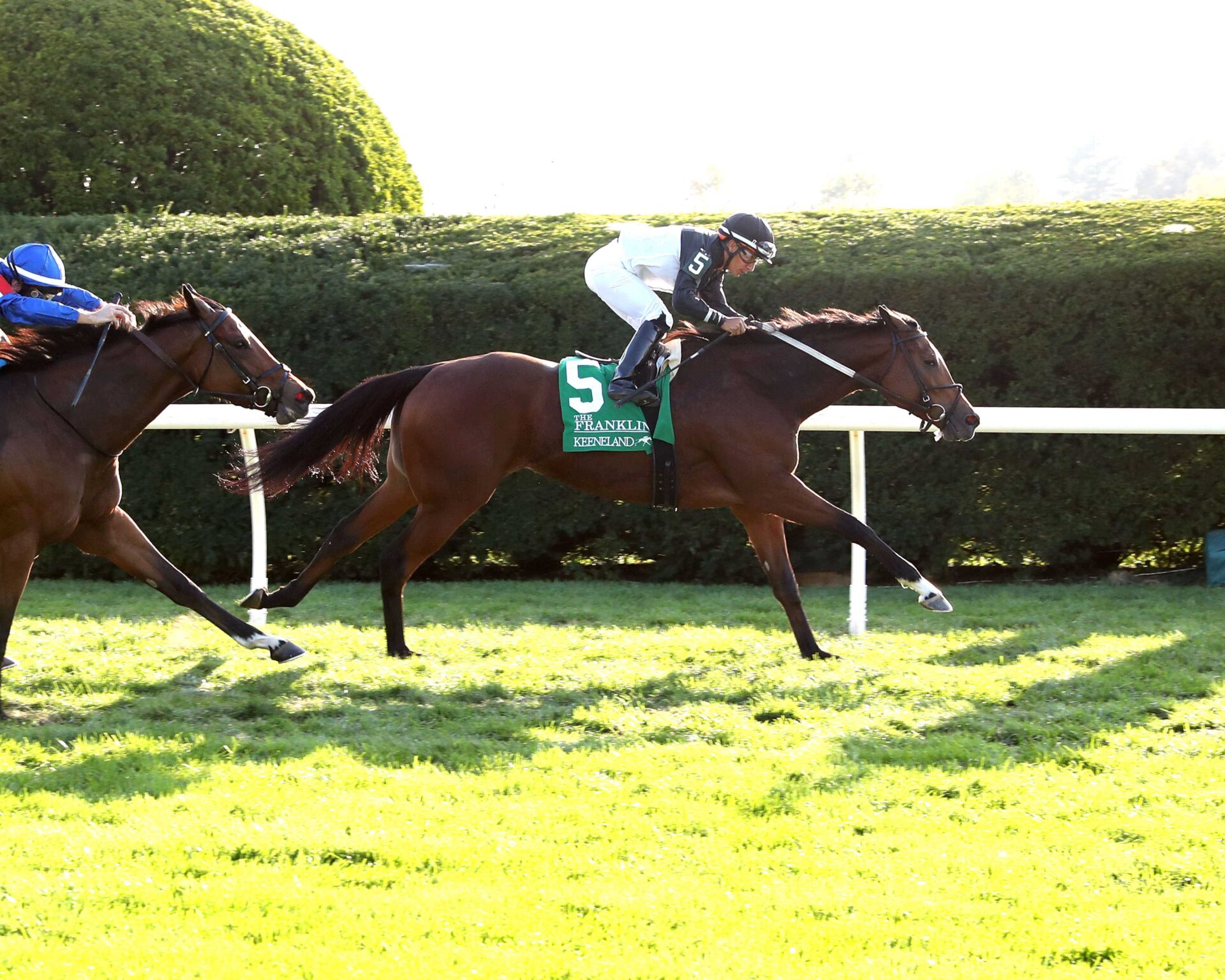 Future Is Now, horses, Great Notion, Franklin Stakes, domingo, 13 de octubre de 2024, Keeneland. Foto: Coady Media