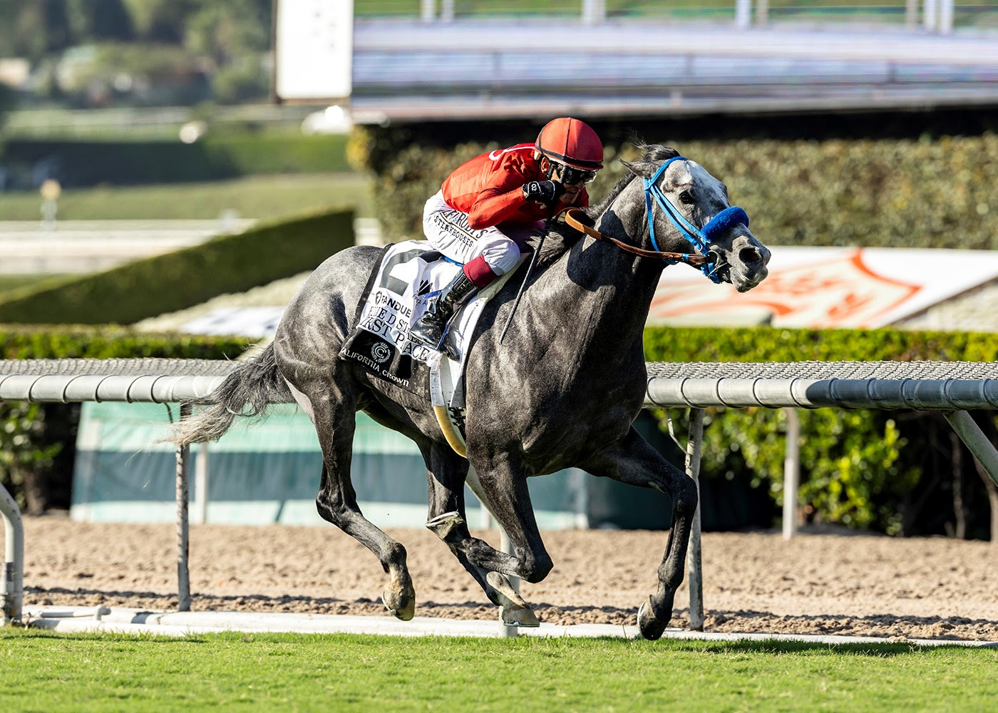 Fisrt Peace, Horses, Funtastic, Eddie D Stakes, sábado, 28 de septiembre de 2024, Santa Anita Park. Foto: Benoit Photo