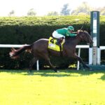 Gina Romantica, horse, Into Mischief, UK HealthCare l First Lady Stakes, sábado, 5 de octubre de 2024, Keeneland. Foto: Coady Media