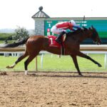 Irad Ortiz Jr., jinete, victoria 4000, Good Temper, domingo, 13 de octubre de 2024, Maiden Special Weight, Keeneland. Foto: Coady Media