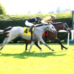 Governor Sam, horses, Improbable, Indian Summer Stakes, domingo, 6 de octubre de 2024, Keeneland. Foto: Coady Media