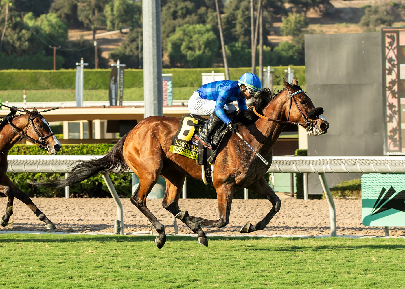 Hang The Moon, Horses, Uncle Mo, Rodeo Drive Stakes, sábado, 5 de octubre de 2024, Santa Anita Park. Foto: Benoit Photo