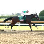 Idiomatic, horse, Curlin, Juddmonte Spinster Stakes, domingo, 4 de octubre de 2024, Keeneland. Foto: Coady Media