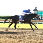 Immersive, horse, Godolphin, Darley Alcibiades Stakes, viernes, 4 de octubre de 2024, Keeneland. Foto: Coady Media