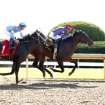 Long Neck Paula, horse, Uncle Mo, Bowman Mill Stakes, sábado, 26 de octubre de 2024, Keeneland. Foto: Coady Media
