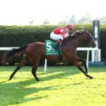 Minaret Station, horse, Instilled Regard, Castle Key Bourbon Stakes, domingo, 6 de octubre de 2024, Keeneland. Foto: Coady Media