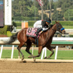 Non Compliant, Horses, Tiz The Law, Oak Leaf Stakes, sábado, 5 de octubre de 2024, Santa Anita Park. Foto: Benoit Photo