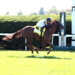 Our Shot, horse, Kantharos, Fanduel Woodford Stakes, sábado, 5 de octubre de 2024, Keeneland. Foto: Coady Media