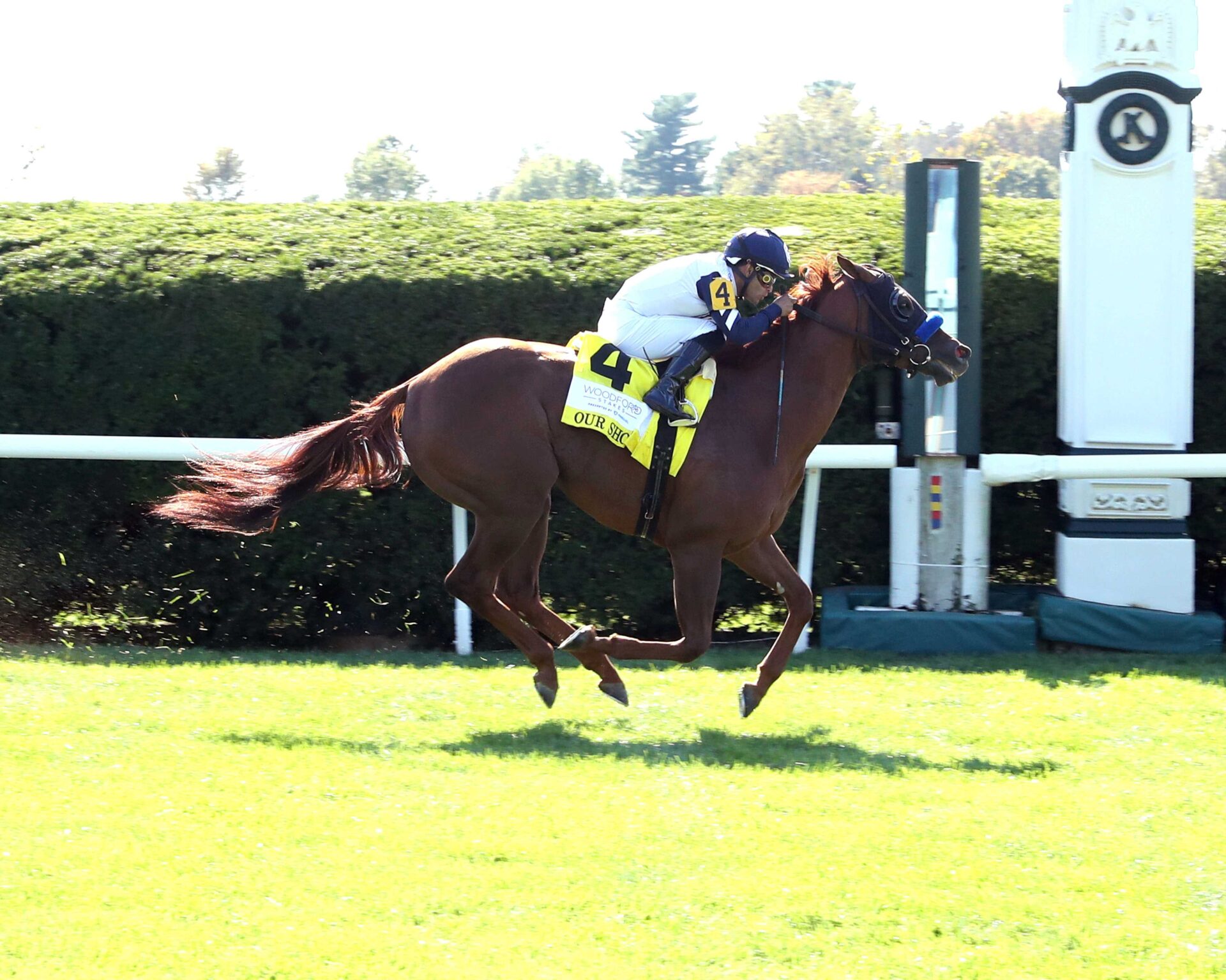 Our Shot, horse, Kantharos, Fanduel Woodford Stakes, sábado, 5 de octubre de 2024, Keeneland. Foto: Coady Media