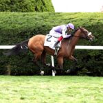 Poolside With Slim, horse, Churchill, Bank Of America Valley View Stakes, viernes, 25 de octubre de 2024, Keeneland. Foto: Coady Media