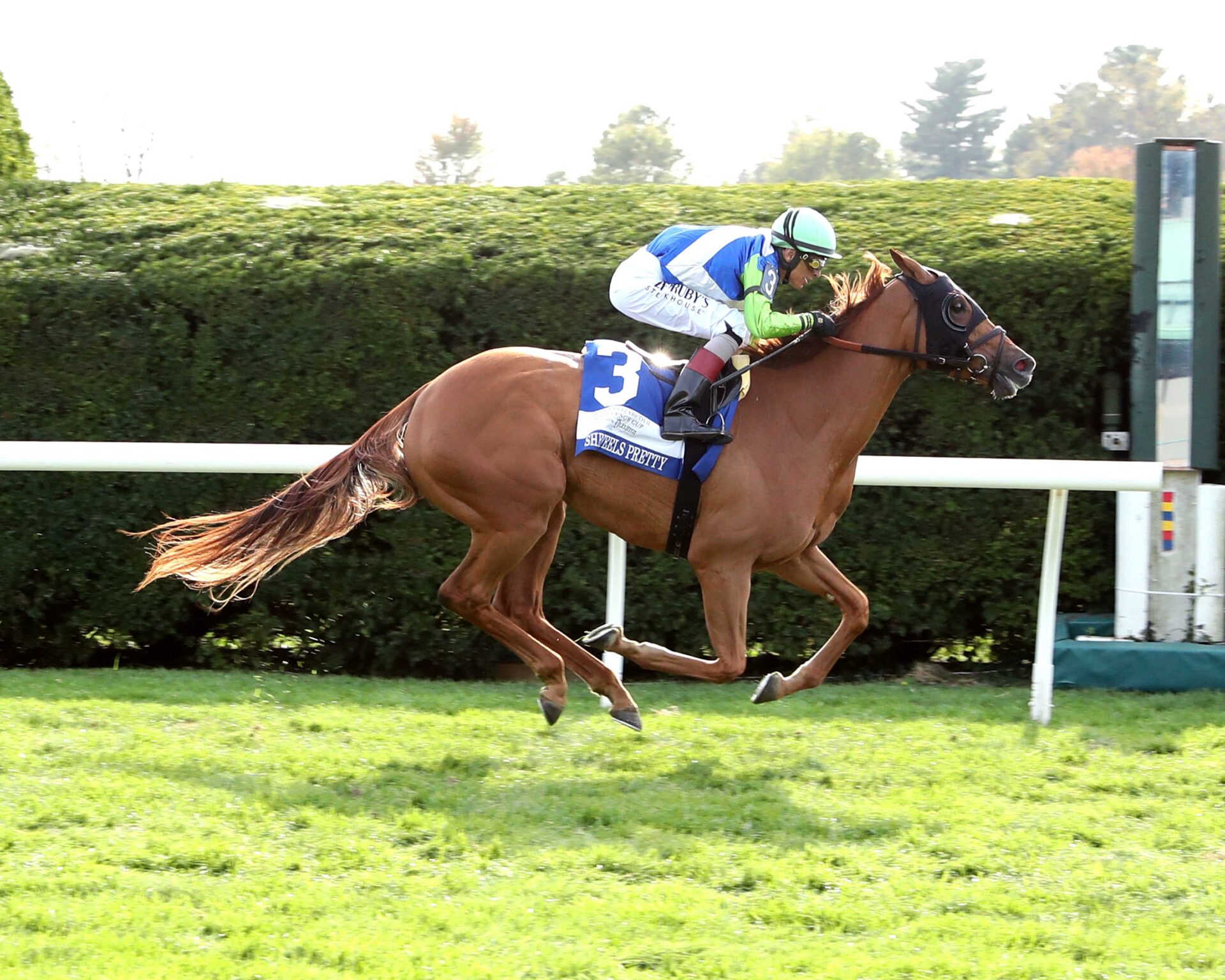 She Feels Pretty, horses, Karakontie, Dixiana Queen Elizabeth II Challenge Cup Stakes, sábado, 12 de octubre de 2024, Keeneland. Foto: Coady Media
