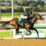 Straight No Chaser, Horses, Speighster, Santa Anita Sprint Championship Stakes, sábado, 28 de septiembre de 2024, Santa Anita Park. Foto: Benoit Photo