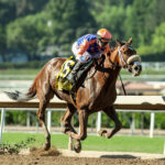 Sugar Fish, Horses, Accelerate, Zenyatta Stakes, domingo, 29 de septiembre de 2024, Santa Anita Park. Foto: Benoit Photo