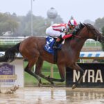 Ways And Means, horses, Klaravich Stables, domingo, 29 de septiembre de 2024, Belmont At The Big A. Foto: Coglaniese Photo & Susie Raisher