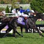 Abientot, horse, Not This Time, Matron Stakes, domingo, 6 de octubre de 2024, Aqueduct. Foto: Coglaniese Photo & Susie Raisher