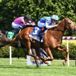 Carson´s Run, horse, Cupid, Caesars Jockey Club Derby Invitational Stakes, sábado, 5 de octubre de 2024, Belmont At The Big A. Foto: Coglaniese Photo & Susie Raisher