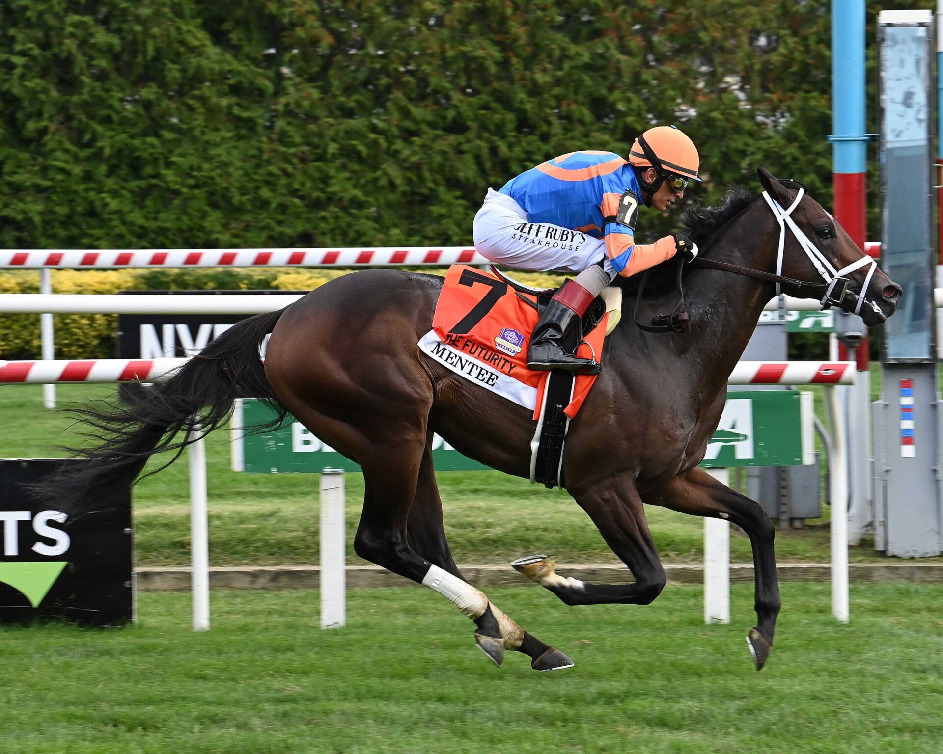Mentee, horse, City Of Light, Futurity Stakes, viernes, 4 de octubre de 2024, Aqueduct. Foto: Coglaniese Photo & Susie Raisher