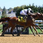 Raging Sea, horse, Alpha Delta Stables, Beldame Stakes, domingo, 6 de octubre de 2024, Aqueduct. Foto: Coglaniese Photo & Susie Raisher
