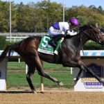Scottish Lassie, McKinzie, Frizette Stakes, sábado, 5 de octubre de 2024, Belmont At The Big A. Foto: Coglaniese Photo & Susie Raisher