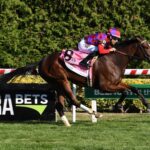 Scythian, horse, Tiz The Law, Miss Grillo Stakes, domingo, 6 de octubre de 2024, Belmont At The Big A. Foto: Coglaniese Photo & Susie Raisher