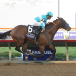 Citizen Bull, horse, Into Mischief, Breeders Cup Juvenile, viernes, 1 de noviembre de 2024, Del Mar. Foto: Benoit Photo