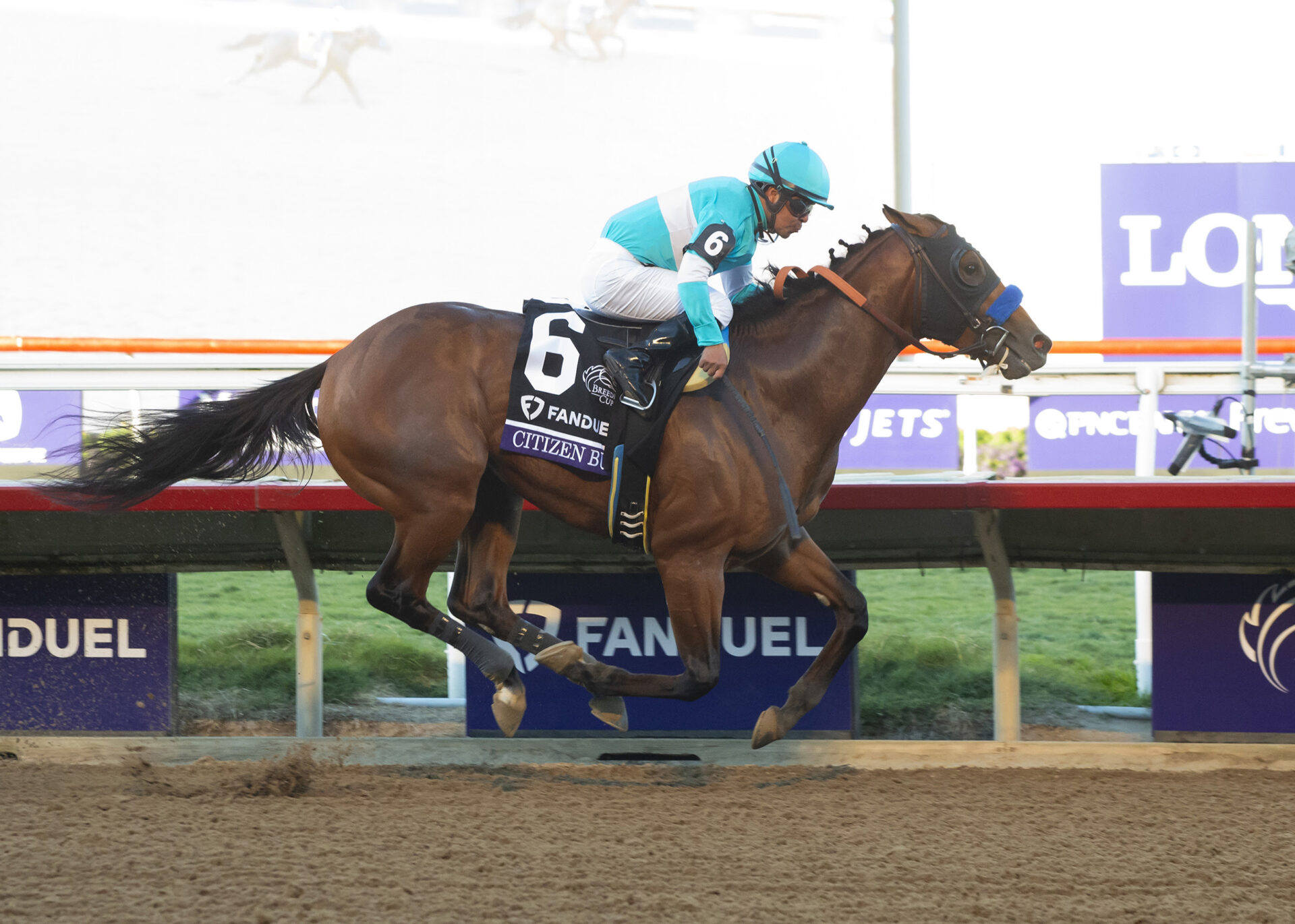 Citizen Bull, horse, Into Mischief, Breeders Cup Juvenile, viernes, 1 de noviembre de 2024, Del Mar. Foto: Benoit Photo